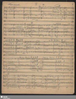 III. Allegro animato