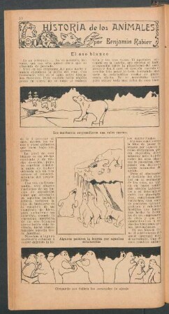 El oso blanco : Historia de los animales