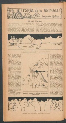 El oso blanco : Historia de los animales