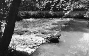 Triebischtal-Garsebach. Wehr der drei Mühlen oberhalb der Barth-Mühle