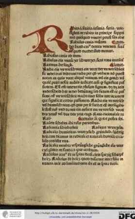Rabies id est sevitia, insania, furia, wietigkeit, ut rabies in principe supprimit quidquid vincere potest sibi obiectum.