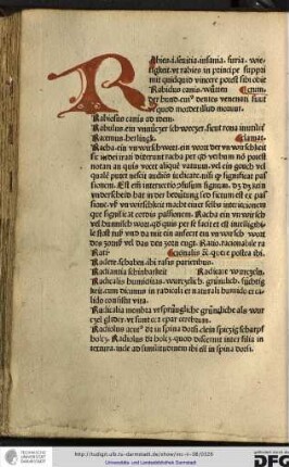 Rabies id est sevitia, insania, furia, wietigkeit, ut rabies in principe supprimit quidquid vincere potest sibi obiectum.