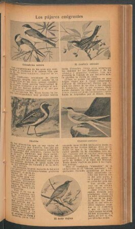 Los pájaros emigrantes