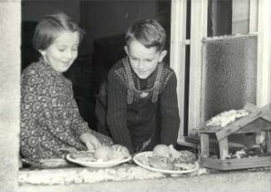 Vogelhochzeit in Purschwitz : Ort: Poršicy / Purschwitz. Mädchen und ein Junge am Fenster am Tag der Vogelhochzeit