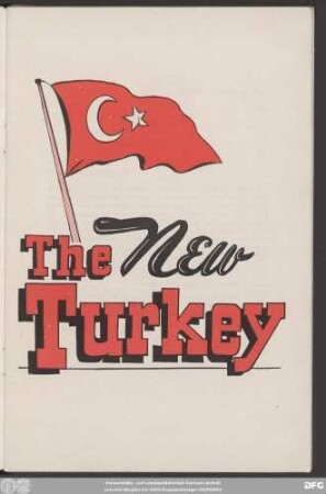 The new Turkey