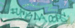 FUCK DA COPS