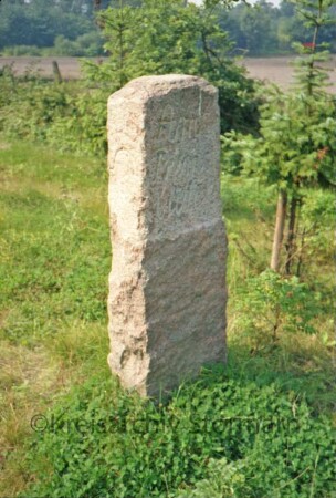 Grenzstein [Nr. 33] zwischen Amt Tremsbüttel und Gut Ahrensburg: Seite Tremsbüttel: auf Schmalseite Hufeisen-Symbol