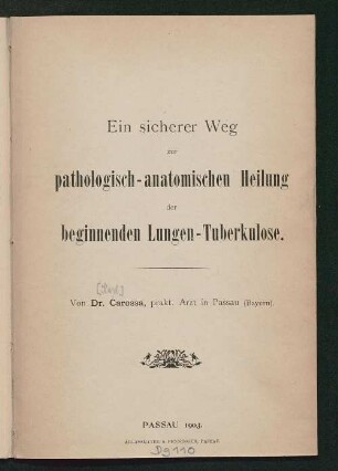 Ein sicherer Weg zur pathologisch-anatomischen Heilung der beginnenden Lungen-Tuberkulose