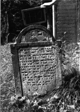 Grabstein 772 (Index: 100104707) Material: Sandstein Zustand: unten beginnende Verwitterung Maße HxBxT: 116x60x8 cm Beschreibung: Stele, eingezogener Rundbogenabschluss, Bogenfeld und Schriftfeld eingetieft und voneinander durch horizontalen Steg abgeteilt: Grabstein 772