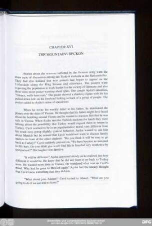 Chapter XVI The Mountains Beckon
