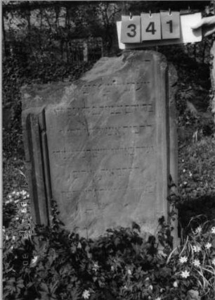 Grabstein 341 (Index: 99791733) Material: Sandstein Zustand: verwittert mit Textverlust, oberer Teil der Stele weggebrochen mit Textverlust Maße HxBxT: 106x67x13 cm Beschreibung: Stele, Schriftfeld eingetieft: Grabstein 341