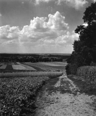 Wolkenbilder. Getreidefeld bei Worpswede