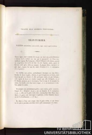 Teinturier. Vitis tinctoria, acino rotundo, nigro , carne et aquâ rubris farcto