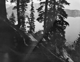 Crater Lake : Blick vom Ufer des Crater Lake