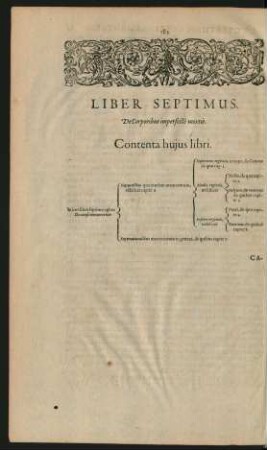 Liber Septimus. De Corporibus imperfecte mixtis.