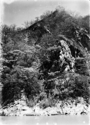 Trockenwald : Blick auf einen, mit üppiger Trockenvegetation bewachsenen, Hang