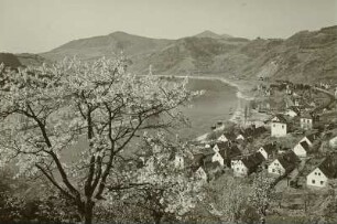 Salesel (heute Dolní Zálezly / Tschechien). Blick vom Talhang über die Elbe nach Südwesten. Im Hintergrund von links nach rechts: die Kubatschka (Kuckucksberg, 557 m), der Kletschen (705 m), der Milleschauer (835 m) und das Dubitzer Kirchlein