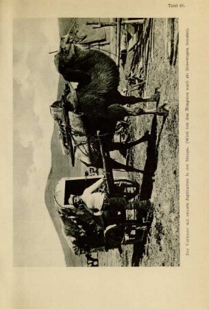 Tafel 61. Der Verfasser mit seinem Jagdkarren in der Steppe. (Wird von den Mongolen auch als Reisewagen benutzt)
