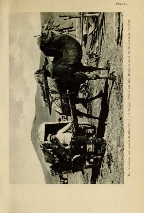 Tafel 61. Der Verfasser mit seinem Jagdkarren in der Steppe. (Wird von den Mongolen auch als Reisewagen benutzt)