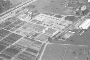 Freiburg: Mundenhof; Städtisches Gartenamt, Anzuchtgärten, von Osten kommend