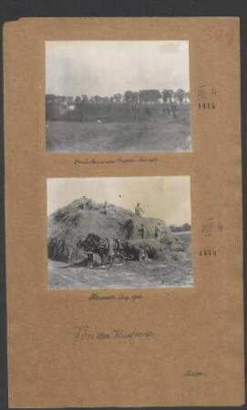 Heuernte