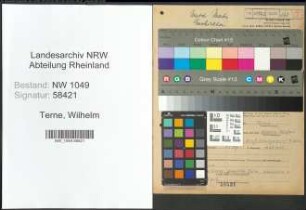 Entnazifizierung Wilhelm Terne , geb. 02.08.1902 (Toepfer)
