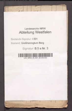 Die schadhafte Brücke zwischen Buer und Horst;. das polizeiwidrige Schießen zu Recklinghausen