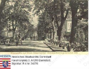 Darmstadt, Gartenbauausstellung 1905 / Eingangs-Allee zum Orangeriegarten