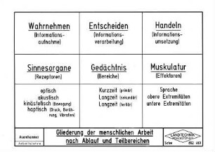 Gliederung der menschlichen Arbeit nach Ablauf und Teilbereichen