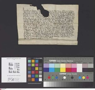 Seligenstadt: Verkauf benannter Güter zu Nieder-Rodenbach an das Kloster Seligenstadt