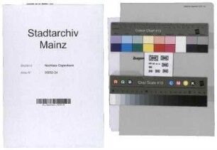 Verein zur Pflege jüdischer Altertümer in Mainz
