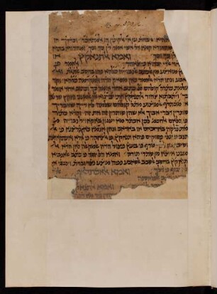 Dalalat al-Haʹirin (Führer der Unschlüssigen) / Mosheh ben Maimon