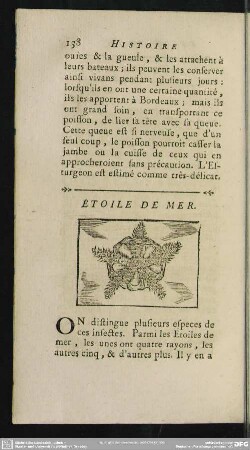 Étoile De Mer