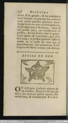 Étoile De Mer