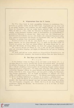 Abtheilung VII. Westliche Häuser der V. Insula