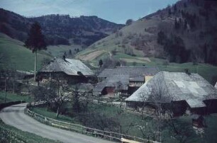 Schwarzwald. Bauerngehöfte in Präg?