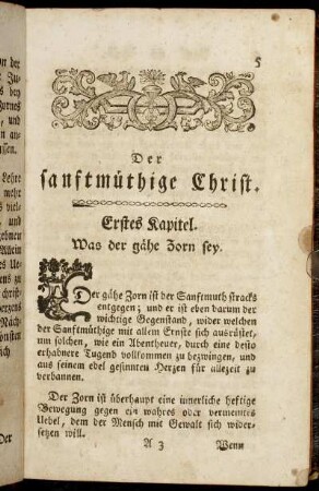 Erstes Kapitel. Was der gähe Zorn sey.