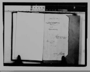 . Geldforderungen des Daniel von Hatzfeld-Schönstein an Nassau-Dillenburg: Band 1