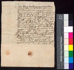 Adam Berka von Duba auf Böhmisch Leipa (Leippen) und Bürgstein (Birckstein) bestätigt Bürgermeister und Rat der Stadt Bautzen den Empfang der königlichen Jahrrente, die zu Galli 1595 zu entrichten war.