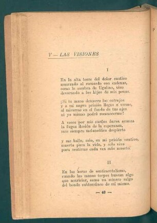 V - Las visiones
