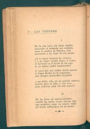 V - Las visiones
