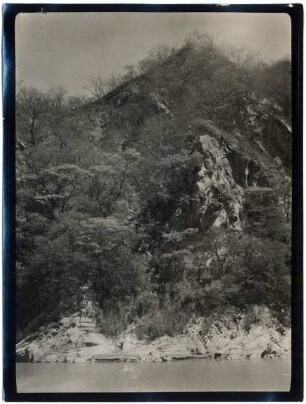 Trockenwald in Pilcomayotal oberhalb Villamontes