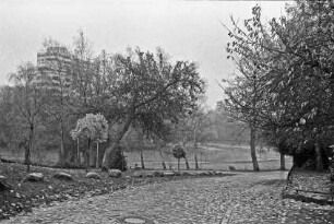 Neuhöfer Teich: vorn Weg mit Kopfsteinpflaster und Laub: hinten Findlinge und Bäume: im Hintergrund links Hochhaus