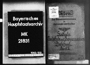Haßfurt. Städt. Realschule und Progymnasium. Allgemeines.