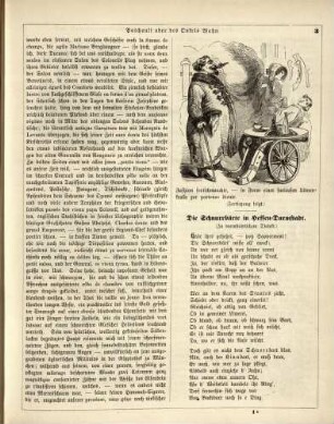 "Patchouli oder des Onkels Wahn"