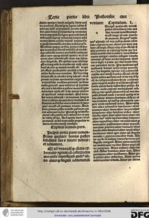 Quia igitur qualis esse debeat pastor ostendimus, nunc qualiter doceat, demonstremus...