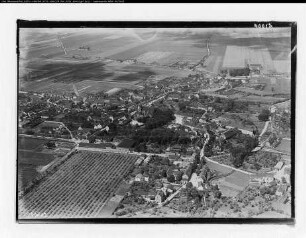 Brehna (b. Bitterfeld)