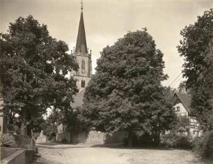 Priestewitz-Wantewitz. Dorfstraße mit Kirche