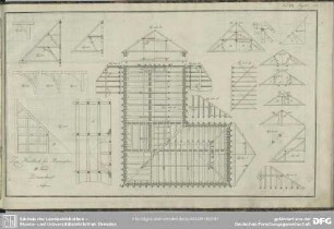 Tab. XIX. Fig. 336-350
