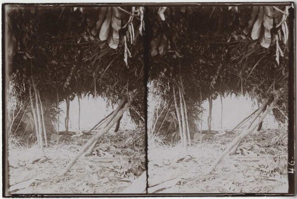 View into the interior of an abandoned Kayapó hut